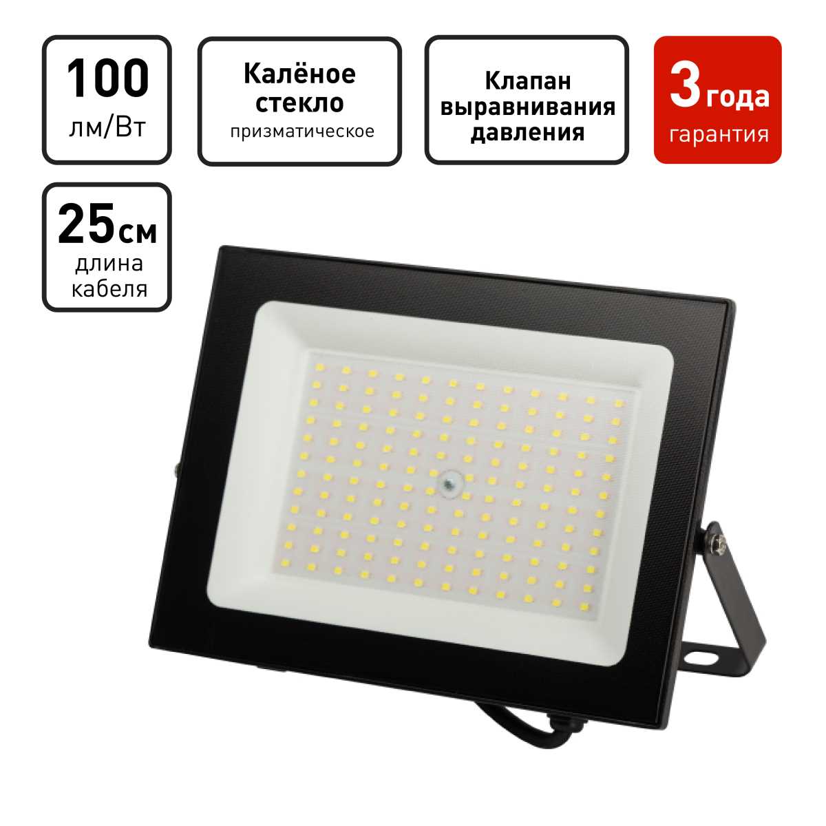 фото прожектор светодиодный уличный эра pro lpr-062-0-65k-100 б0064701 | 220svet.ru