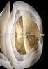 Миниатюра фото подвесной светильник fiordlys gold slamp | 220svet.ru