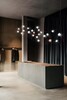 Миниатюра фото подвесной светильник poppy 14 slamp | 220svet.ru