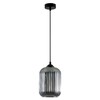 Миниатюра фото подвесной светильник arte lamp arwen a1902sp-1bk | 220svet.ru