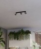 Миниатюра фото спот eglo rosley 43658 | 220svet.ru