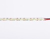 Миниатюра фото светодиодная лента теплый белый ambrella light 19,2w/m 240led/m 2835smd 3000к 5m gs1501 | 220svet.ru