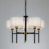 Миниатюра фото подвесная люстра arte lamp jamie a4090lm-5bk | 220svet.ru
