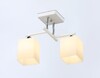 Миниатюра фото потолочная люстра ambrella light tr303111 | 220svet.ru