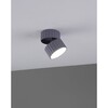 Миниатюра фото спот moderli cora v11902-1c | 220svet.ru