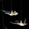 Миниатюра фото подвесной светильник delight collection 12965-1p clear | 220svet.ru