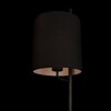 Миниатюра фото торшер loft it ritz 10253f/a black | 220svet.ru