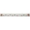 Миниатюра фото влагозащищенная лента designled 14,4w/m 60led/m 5050smd разноцветный 5m 003351 | 220svet.ru