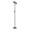 Миниатюра фото торшер lussole lsp-0901-se | 220svet.ru