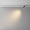 Миниатюра фото трековый низковольтный светильник maytoni focus led exility x tr243-4-5wtw-dd2-b | 220svet.ru
