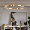 Миниатюра фото подвесная люстра imperium loft sellif b ring d40 brass 231733-23 | 220svet.ru