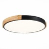 Миниатюра фото потолочный сетодиодный светильник evoluce delia sle201342-01 | 220svet.ru