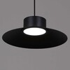 Миниатюра фото люстра reluce 40110-0.9-01 bk | 220svet.ru