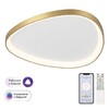 Миниатюра фото потолочная люстра с пультом ду citilux genka smart cl756a162 | 220svet.ru