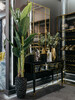 Миниатюра фото банановый куст в горшке garda decor 29bj-803-30 | 220svet.ru