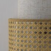 Миниатюра фото настенный светильник favourite organicum 4768-1w | 220svet.ru