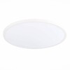 Миниатюра фото настенно-потолочный светодиодный светильник st luce st601.532.48 | 220svet.ru