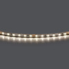 Миниатюра фото светодиодная лента 24v 5w 4000k без клейкой ленты lightstar 420544-02 | 220svet.ru