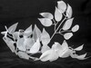 Миниатюра фото потолочная люстра lussole  idaho grlsp-0199 | 220svet.ru
