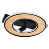 Миниатюра фото потолочный светильник f-promo olika 4438-2c | 220svet.ru