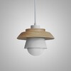 Миниатюра фото подвесной светильник imperium loft eco 178161-26 | 220svet.ru