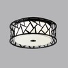 Миниатюра фото потолочный светильник с пультом ду sonex fabiana 7700/40l черный | 220svet.ru