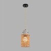 Миниатюра фото подвесной светильник lumion boho 8366/1a черный/серый | 220svet.ru