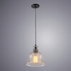 Миниатюра фото подвесной светильник arte lamp amiata a4255sp-1sm | 220svet.ru