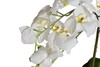 Миниатюра фото орхидея белая в горшке garda decor 29bj-170-13 | 220svet.ru