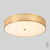 Миниатюра фото потолочный светильник с пультом ду crystal lux button pl40w led | 220svet.ru