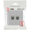 Миниатюра фото розетка эра arktik 16-3108-03 информационная двойная 2xrj45 алюминий б0070486 | 220svet.ru