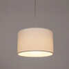 Миниатюра фото подвесной светильник arte lamp charlie a5071sp-1ss | 220svet.ru
