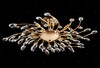 Миниатюра фото потолочная люстра lightstar isabelle 791182 | 220svet.ru