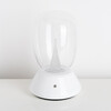Миниатюра фото настольная лампа диммируемая 10w 3000k lightstar uovo iii 807906 | 220svet.ru