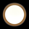 Миниатюра фото потолочный светильник  loft it coin 10202 bb | 220svet.ru