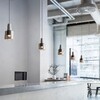 Миниатюра фото подвесной светильник imperium loft farin 151739-26 | 220svet.ru