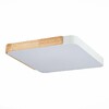 Миниатюра фото потолочный сетодиодный светильник evoluce sle201252-01 | 220svet.ru