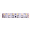 Миниатюра фото лента swg 28,8w/m 120led/m 5050smd rgb/ теплый белый 5m 901044 | 220svet.ru
