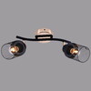 Миниатюра фото потолочный светильник reluce 1418332 | 220svet.ru