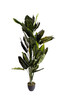 Миниатюра фото диффенбахия искусственная в горшке h170см garda decor 29bj-819-170 | 220svet.ru