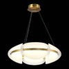 Миниатюра фото подвесной светодиодный светильник st luce etoile sl1304.203.45 | 220svet.ru