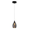 Миниатюра фото подвесной светильник arte lamp barry a7951sp-1bk | 220svet.ru