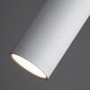 Миниатюра фото подвесной светильник eurosvet double topper 50135/1 led | 220svet.ru