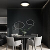 Миниатюра фото потолочный светильник  loft it coin 10202 bb | 220svet.ru